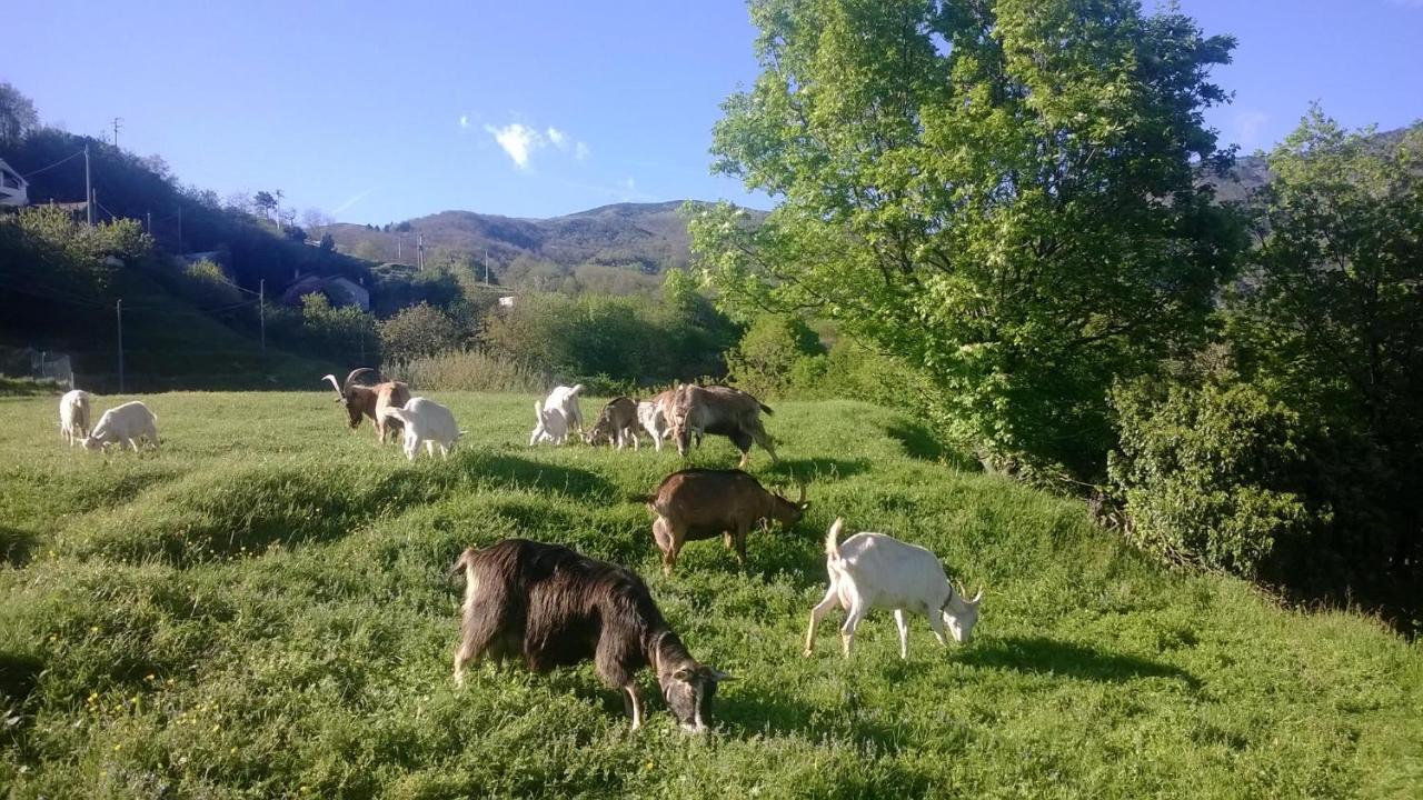 Agriturismo Grilla